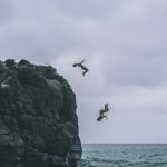 Cliff Jump - Two People Jumping on Body of Water