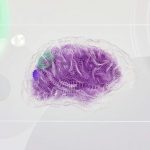 Gear Brain - An artist’s illustration of artificial intelligence (AI). This image represents how machine learning is inspired by neuroscience and the human brain. It was created by Novoto Studio as par...
