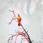 Hourglass Bird - A book cover with a bird on fire and a tree