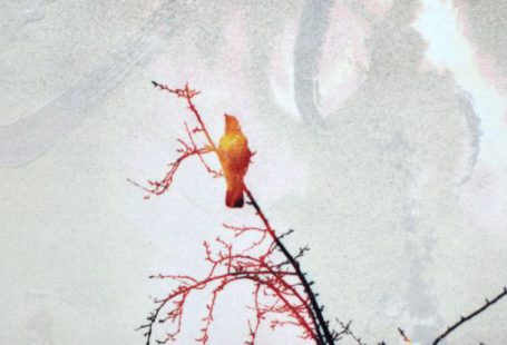 Hourglass Bird - A book cover with a bird on fire and a tree