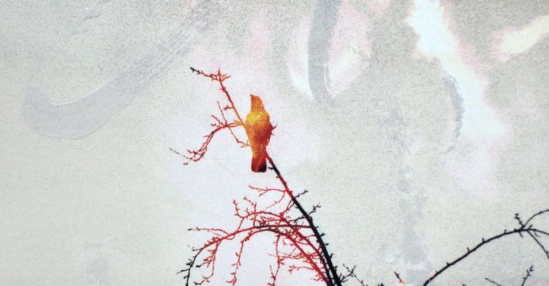 Hourglass Bird - A book cover with a bird on fire and a tree