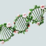 Dna Helix - An artist’s illustration of artificial intelligence (AI). This image depicts how AI could assist in genomic studies and its applications. It was created by artist Nidia Dias as part of the...