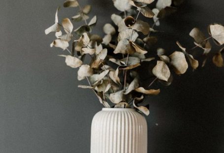 Books Gap - A white vase with a camera and a book on a shelf