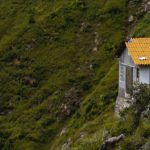 House Green - house