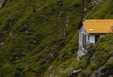 House Green - house