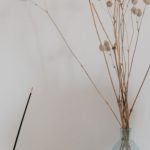 Minimalist Earth - Dry Flowers in a Clear Bottle