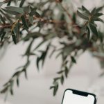 Phone Plant - Photo of Smartphone Near Decorative Plant