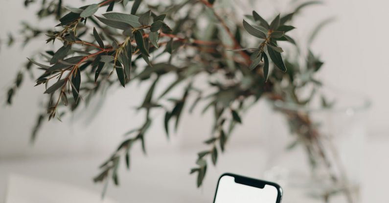 Phone Plant - Photo of Smartphone Near Decorative Plant